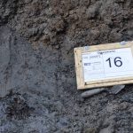 Gorcumers begraven op oude mest- en afvalput