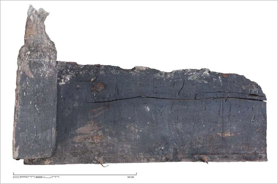 Foto Cambium Een fragment van een van de planken uit de ‘voorzijde’ van de bekisting van een looikuip (spoor 70) met een hoekpaalank