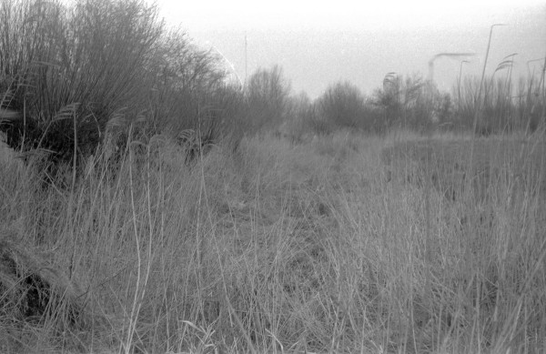 Onderzoek burcht heren van Arkel Wijdschild met de bermsloot van de Dalemsedijk NZ waarin muurresten gevonden zijn, Gorinchem april en nazomer 1972